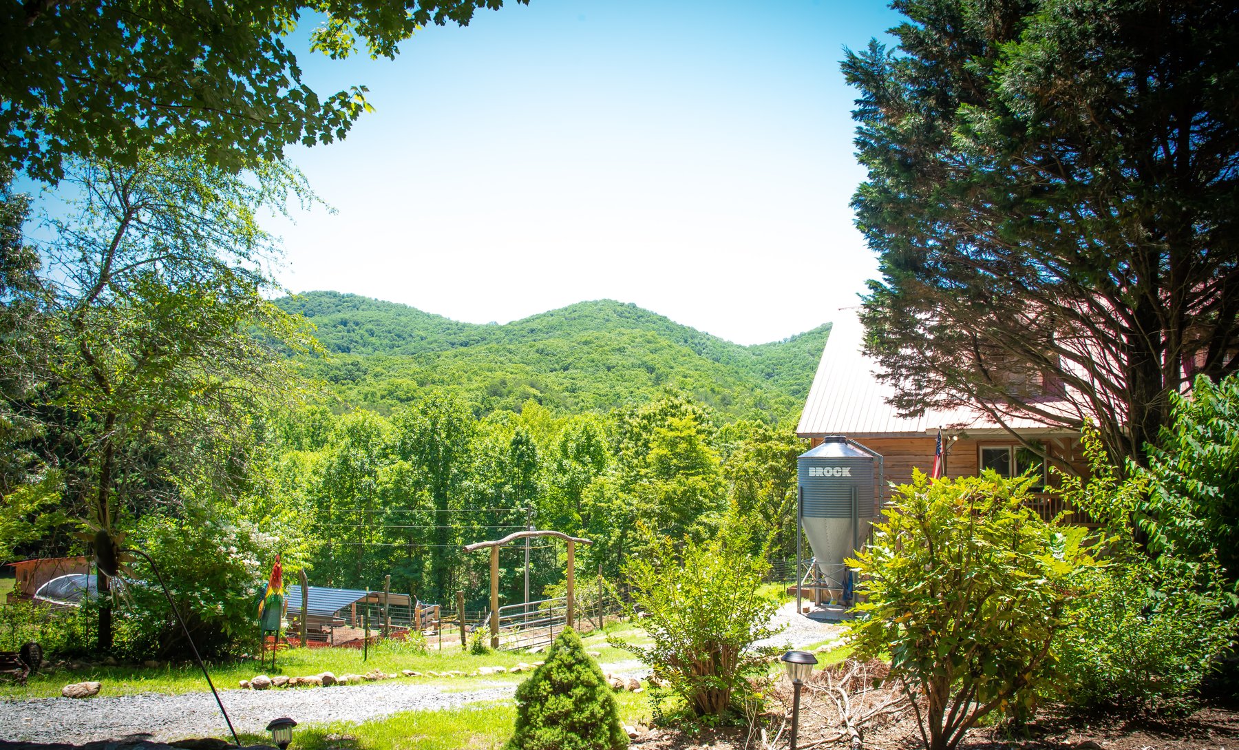 Pasture, barn, and mountain view from Nine Peaks Farm